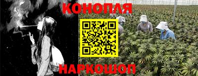 mix Будённовск