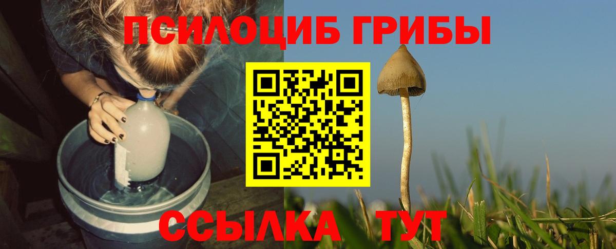 Галлюциногенные грибы ЛСД Пугачёв